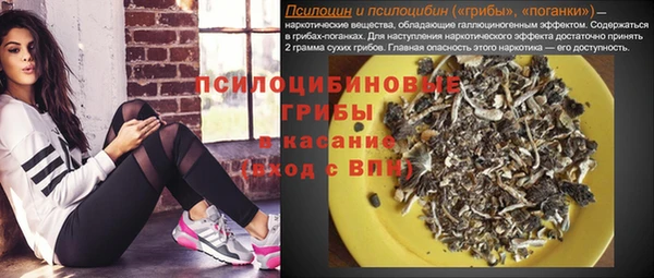 марки lsd Белокуриха